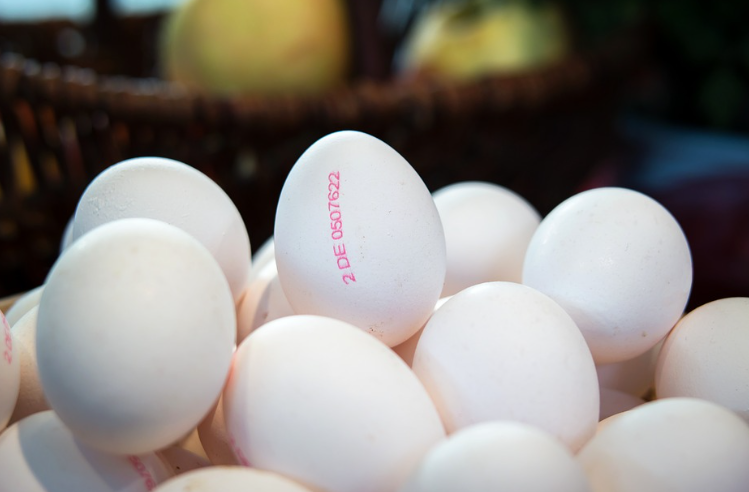 egg supplier in spain