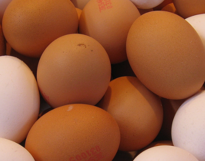 Huevos marrones: características, usos y criterios de compra para el canal profesional