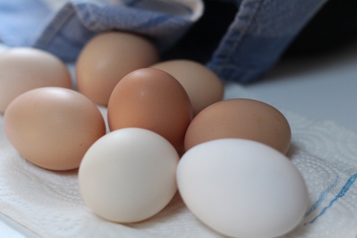 Cooking eggs