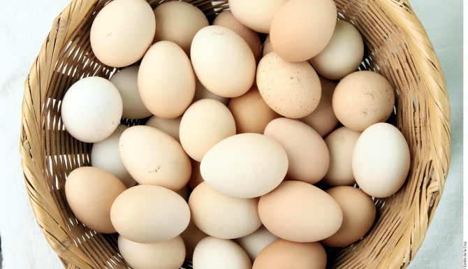 Proteínas del huevo: calidad nutricional y valor en alimentación profesional